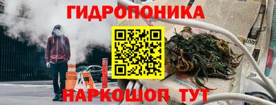 гашик Краснодар
