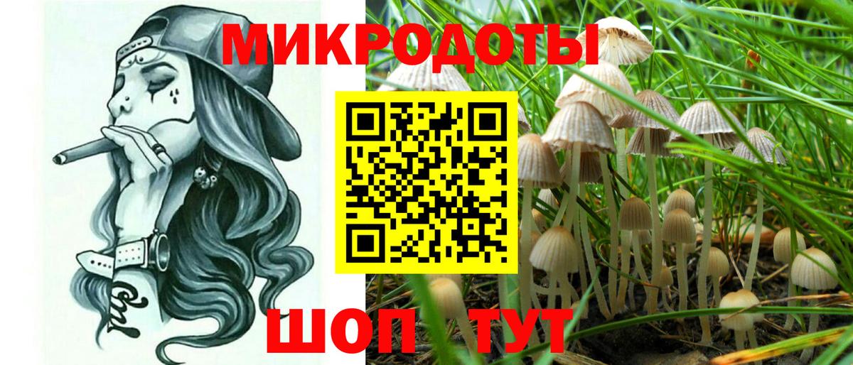 Корсаков  Галлюциногенные грибы Psilocybine cubensis  где найти   Вход с VPN  Галлюциногенные грибы Cubensis 